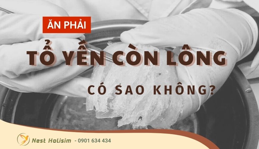 Ăn phải tổ yến còn lông có sao không?