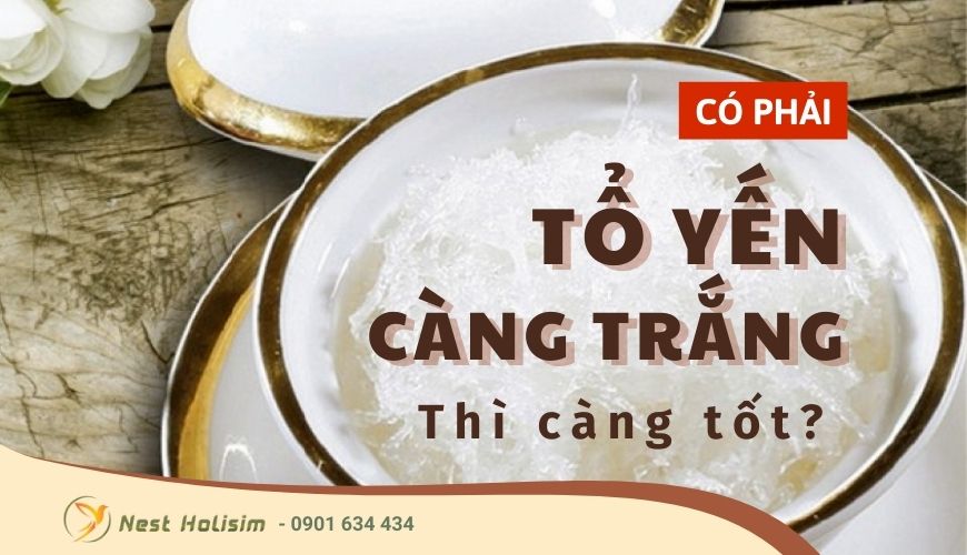Có phải tổ yến càng trắng thì càng tốt?