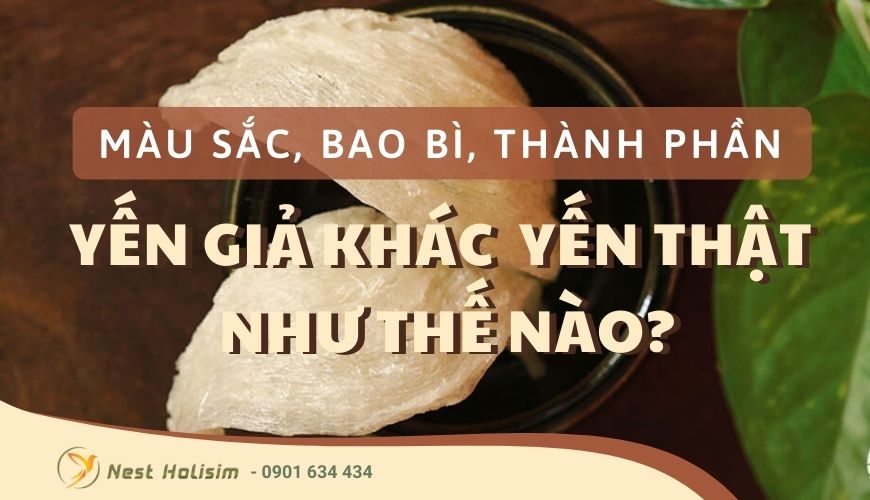 Màu sắc, bao bì, thành phần của tổ yến giả khác tổ yến thật chỗ nào?