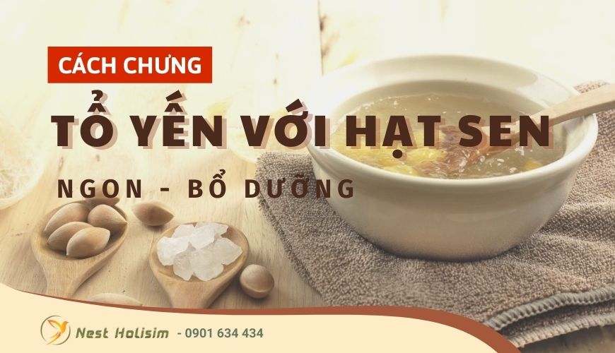 Những cách chưng tổ yến với hạt sen mà bạn cần bạn phải biết