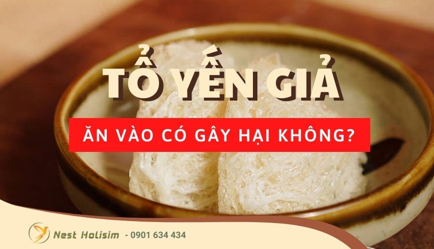 Tổ yến giả ăn vào có gây hại không?
