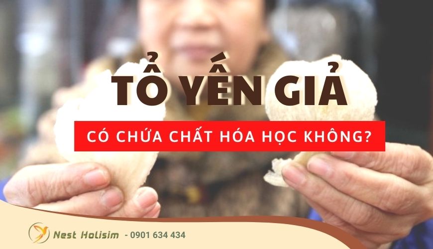 Tổ yến giả có chứa chất hóa học không?