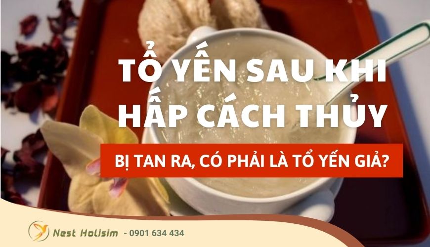 Tổ yến sau khi hấp cách thủy bị tan ra, có phải là tổ yến giả?