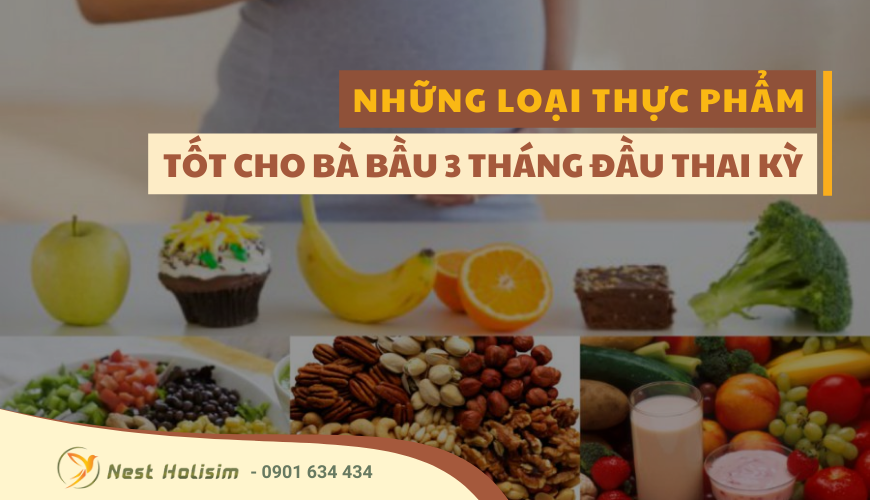 NHỮNG LOẠI THỰC PHẨM TỐT CHO BÀ BẦU 3 THÁNG ĐẦU THAI KỲ