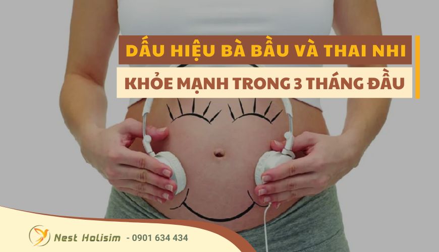 DẤU HIỆU BÀ BẦU KHỎE MẠNH VÀ THAI NHI PHÁT TRIỂN TỐT TRONG 3 THÁNG ĐẦU