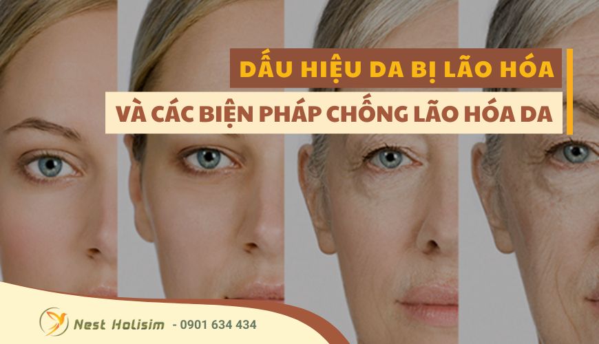 DẤU HIỆU DA BỊ LÃO HÓA VÀ CÁC BIỆN PHÁP CHỐNG LÃO HÓA DA